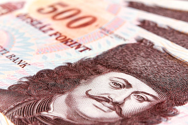 istock Macro photo of hungarian bills 454953521