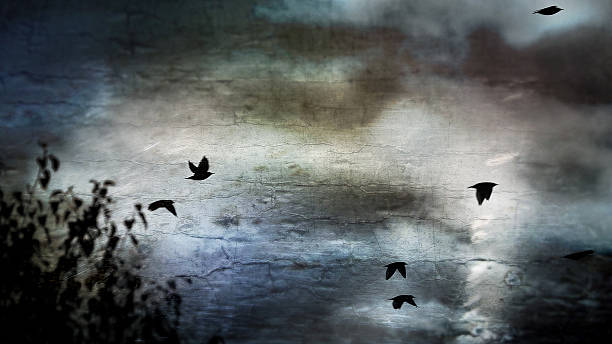 istock Spooky night with black birds, grunge effect 454956531