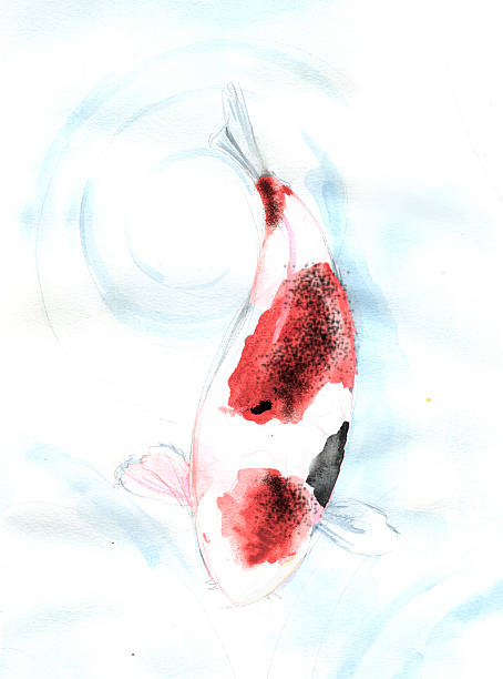 istock Red spot Koi carp fish watercolor painting 454959571