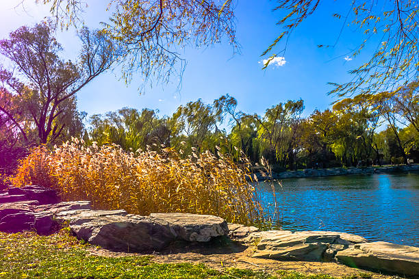 istock Summer Palace in Beijing Autumn 454962673