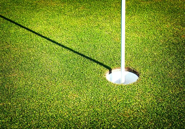 istock Green grass field of golf course with cup 454965413