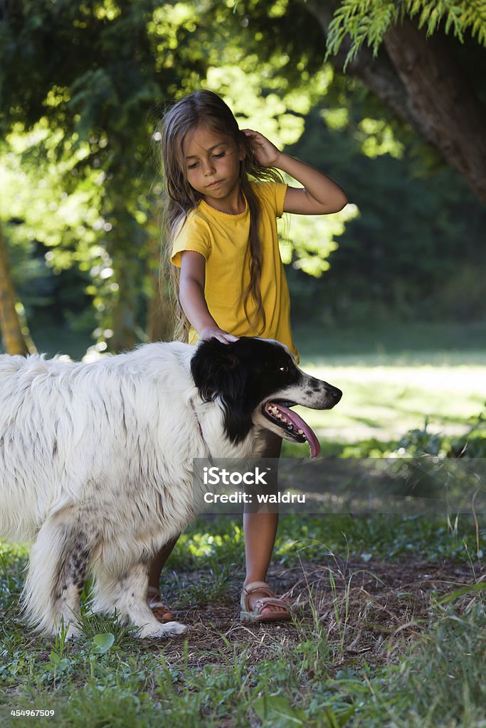 Menina com Cachorro - Royalty-free 6-7 Anos Foto de stock