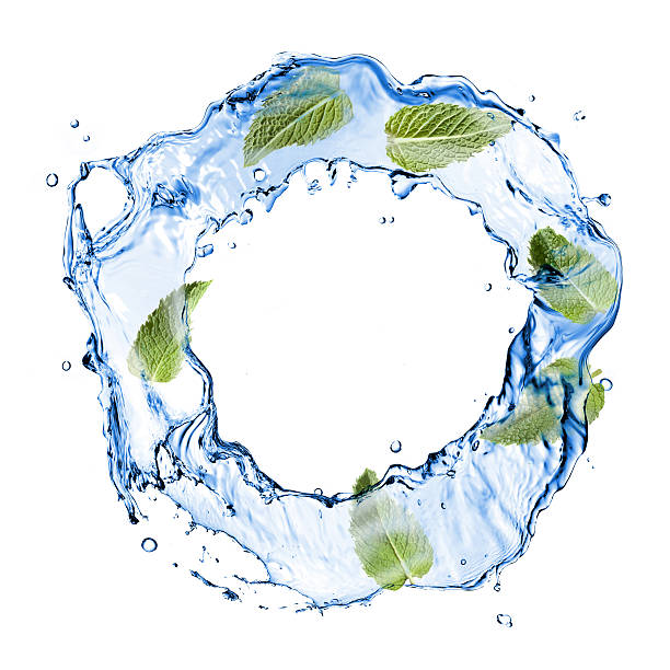 istock water splash with green mint isolated on white 454969747