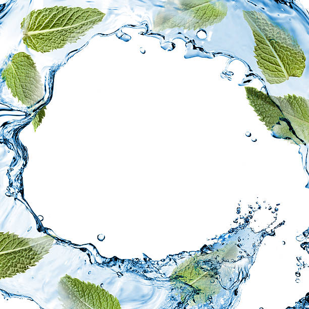 istock water splash with green mint isolated on white 454969755