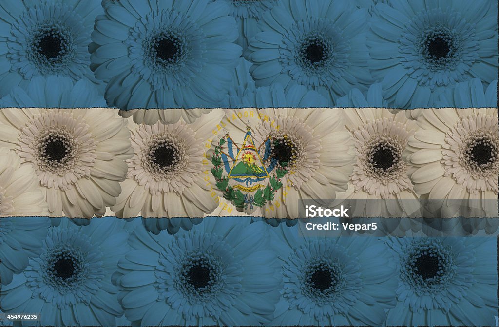 Stilizzata bandiera nazionale di el salvador con fiori di gerbera - Foto stock royalty-free di Amore