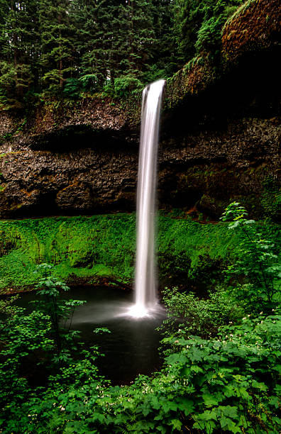 istock Oregon’s Cascade Mountains, Silver Falls State Park 454980835