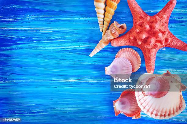 Sea Shells Stock Photo - Download Image Now - Animal Shell, Aquamarine, Backgrounds