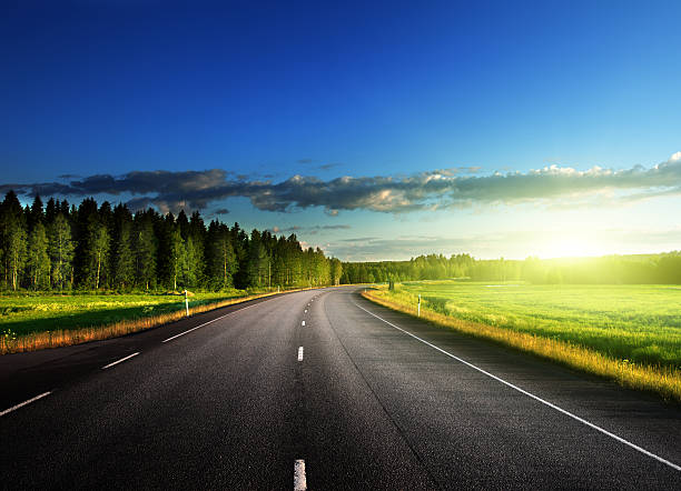 istock Asphalt road in forest at sunset 454983559