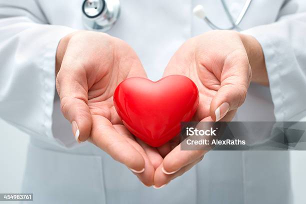 Doctor Holding Heart Stock Photo - Download Image Now - Heart Shape, Doctor, Healthcare And Medicine