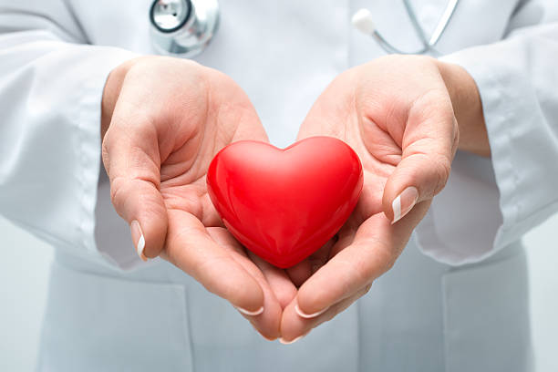 lekarz trzymając serca - human heart care heart shape stethoscope zdjęcia i obrazy z banku zdjęć