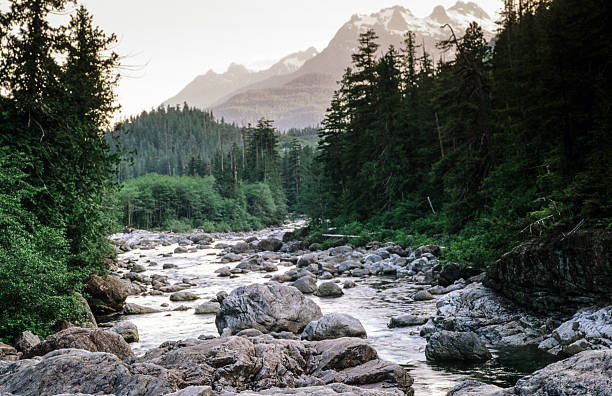 istock White Mountains, New Hampshire snake river 454987085