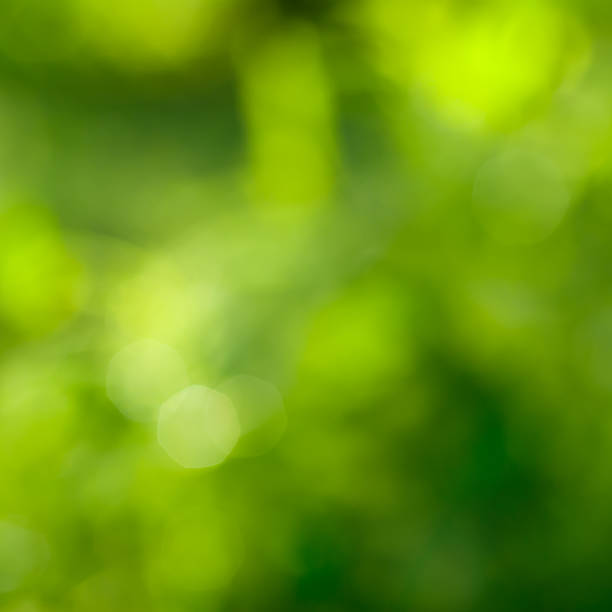 istock abstract green background with natural bokeh 454991083