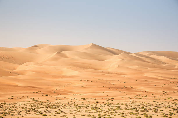 istock Sand Dunes in the Rub-Al Khali Desert 454992593