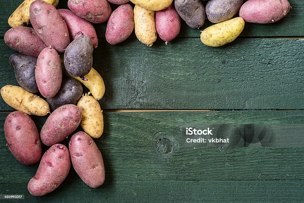 Kartoffelsorte Peruvian Blue frame - Lizenzfrei Fotografie Stock-Foto