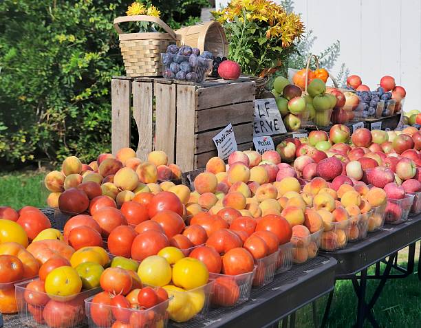 Fruit and Vegetables Stand A fruit stand in the Old Mission Peninsula, outside of Traverse City. Nikon D300 (RAW). michigan farmland stock pictures, royalty-free photos & images