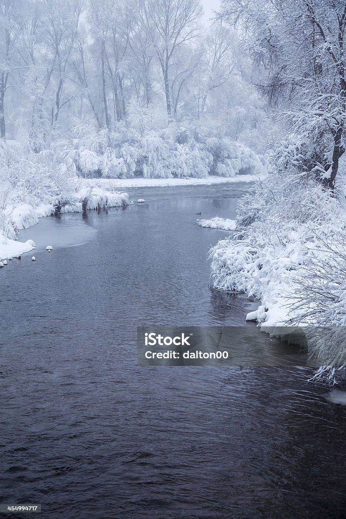 Winter River and Duck II A duck on a river in winter. Cold Temperature Stock Photo