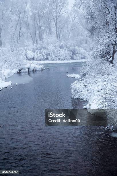 Winter River And Duck Ii Stock Photo - Download Image Now - Cold Temperature, Colorado, Duck - Bird