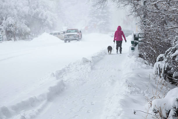istock Walking the Dog in Winter 454999247