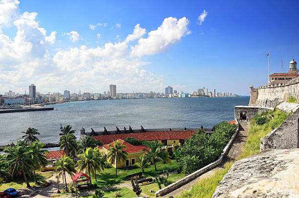 istock Panoramic view of Havana 454999463