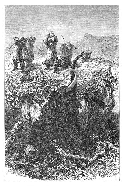 гравировка охотник убивать mammoth в ice age от - prehistoric era stock illustrations