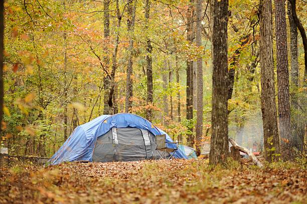 istock Camping tent in autumn woods 455004515