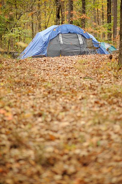 istock Dome camping tent in campsite 455004627