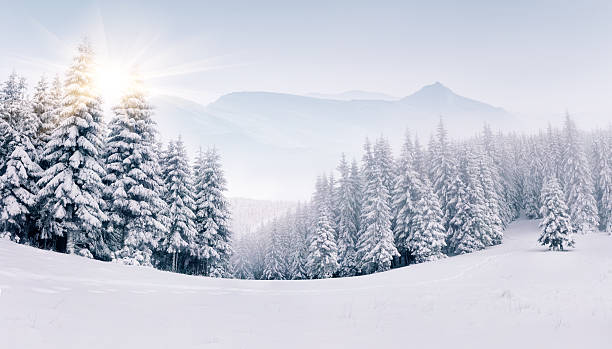 panorama de las montañas de invierno de niebla - ventisca fotografías e imágenes de stock