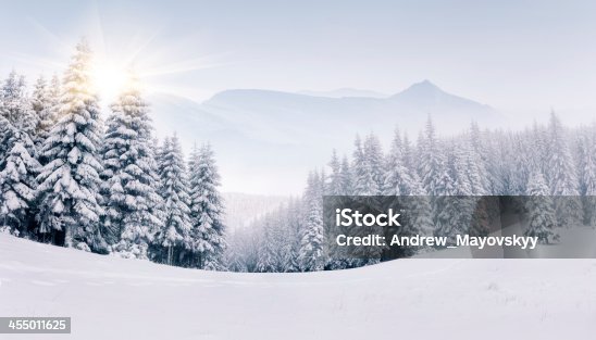 istock Panorama of the foggy winter mountains 455011625