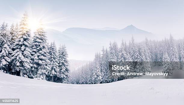 Panorama Of The Foggy Winter Mountains Stock Photo - Download Image Now - Snow, Winter, Mountain