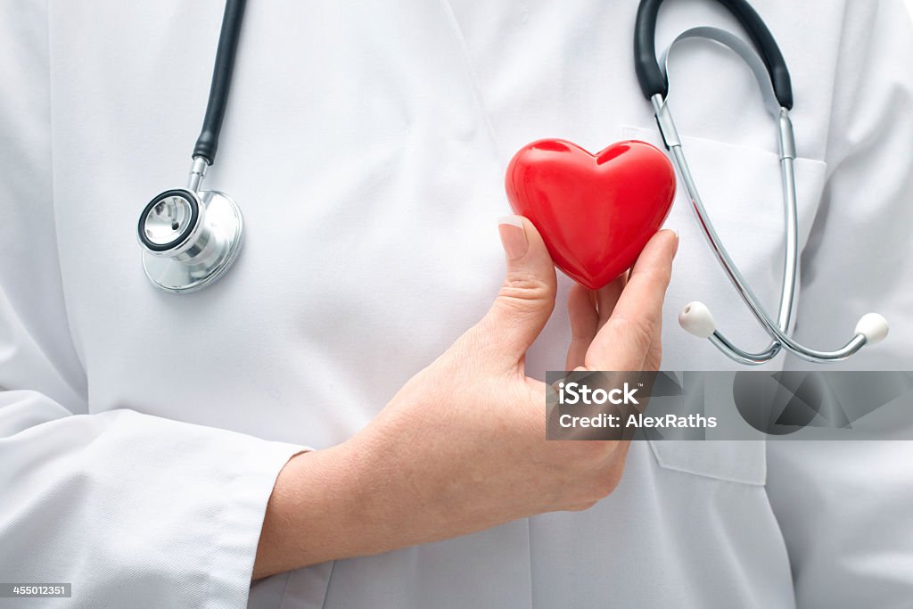 Arzt hält Herz - Lizenzfrei Arzt Stock-Foto