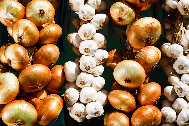 montaje de cebolla - garlic hanging string vegetable fotografías e imágenes de stock