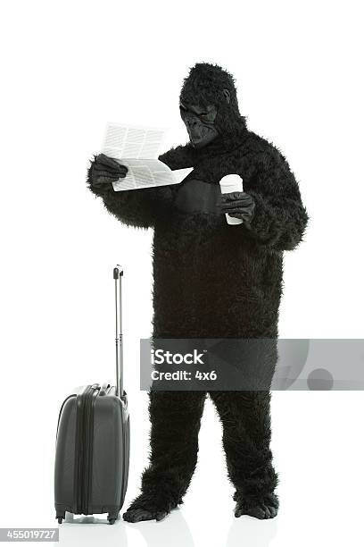 Gorilla 독서모드 일부 문서는 30-39세에 대한 스톡 사진 및 기타 이미지 - 30-39세, 고릴라, 나름