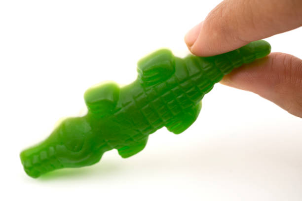 istock Picking up a jelly bean crocodile 455044199