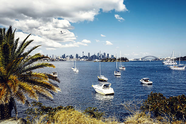istock Sydney harbor and downtown buildings 455045847