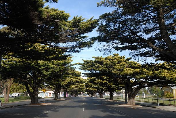 istock Philip island Road 455048547