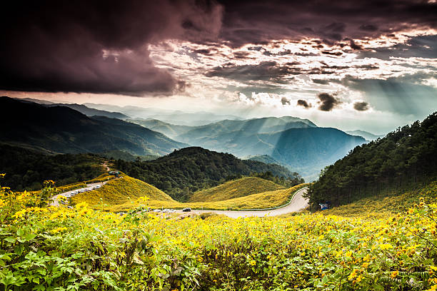 живописный пейзаж таиланд - mae hong son province стоковые фото и изображения