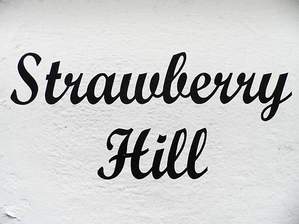 istock Strawberry hill written on a wall 455059523