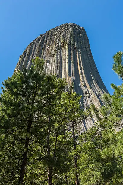 A large rock formation in a stand of trees.