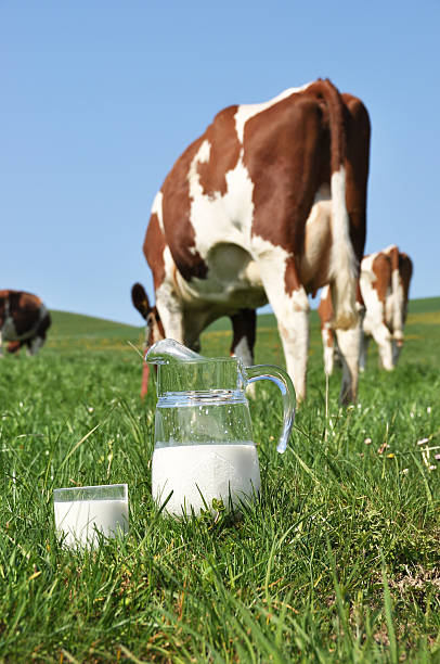 istock Jug of milk 455071323