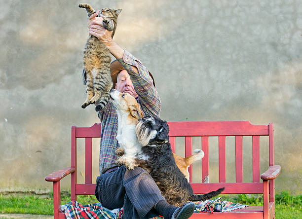 istock Man with cat and dogs 455071441