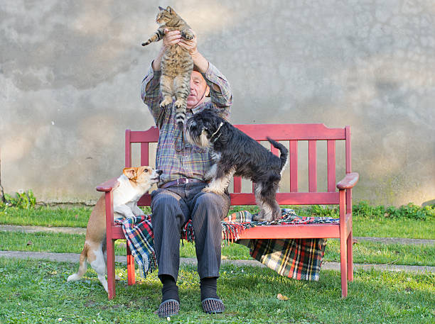 istock Man with cat and dogs 455071499
