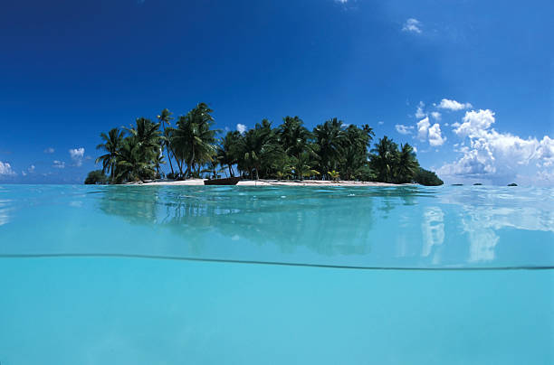 istock Lagoon and turquoise water in Polynesia 455076631