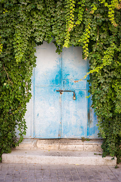 istock Old steel door with leaves 455076811
