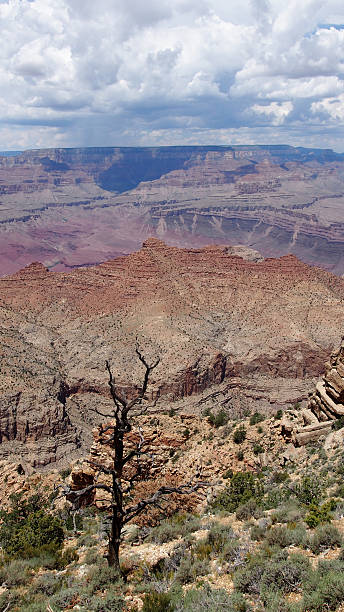 istock Grand Canyon National Park 455076955