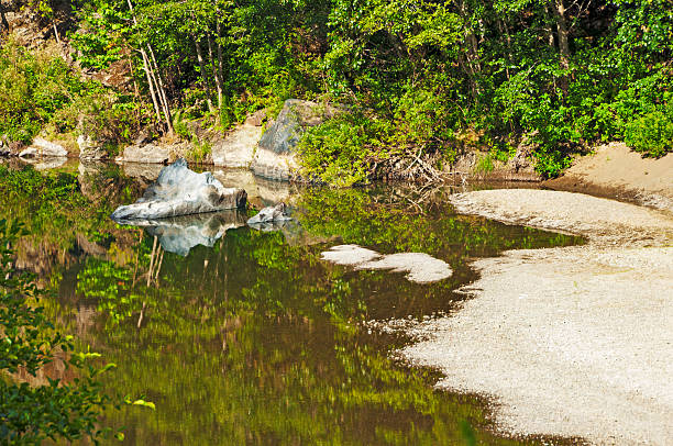 istock Eel River Humboldt Redwood State Park 455097759