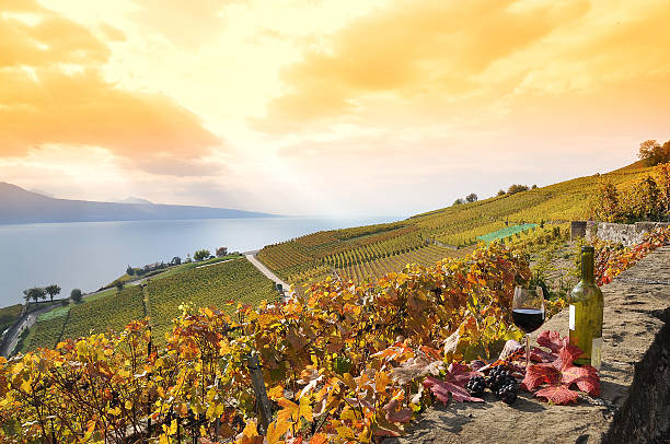 istock Glass of red wine 455112455