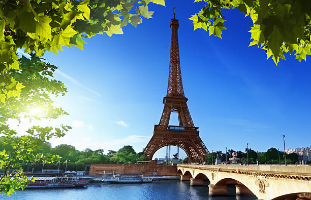istock Eiffel tower, Paris. France 455113091
