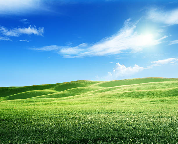 istock field of grass and perfect sky 455113291