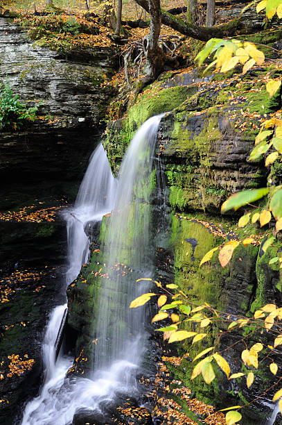 istock Waterfalls at Delaware Water Gap NRA 455114231