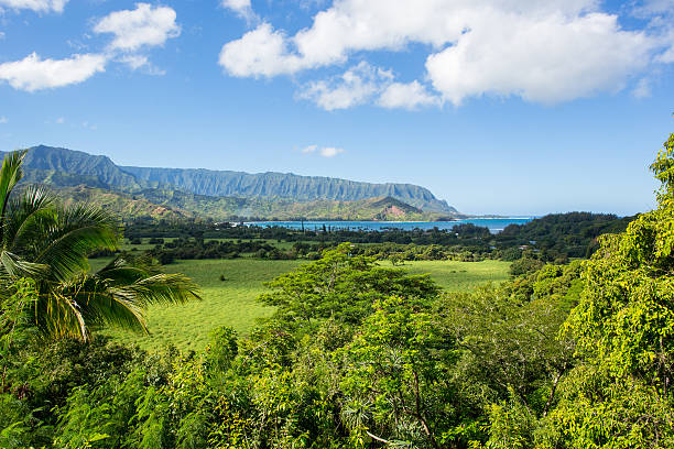 istock Hanalei Bay, Kauai Island in Hawaii 455132183